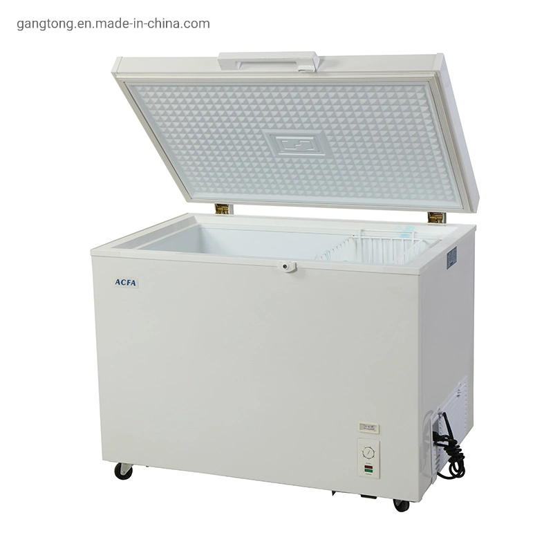 China Manufacturer Wholesale Price Ice Cream Freezer Price Meat Showcase Deep Freezer Foam Door Chest Freezer with Lock (BDBC-310)